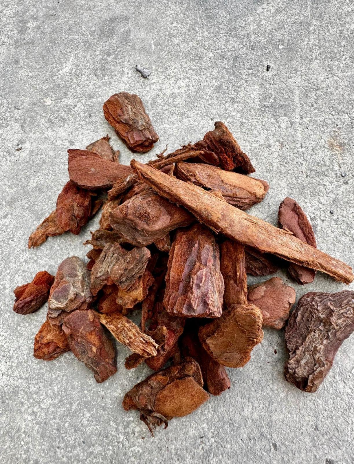 Orkide Ağaç Kabuğu 