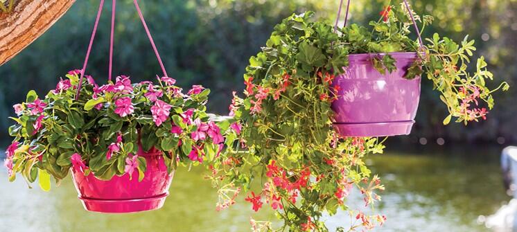 Renkli Askılı Saksı