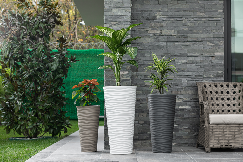 Saksıdan Gelen Zerafet