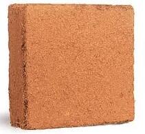 Hindistan Ceviz Torfu